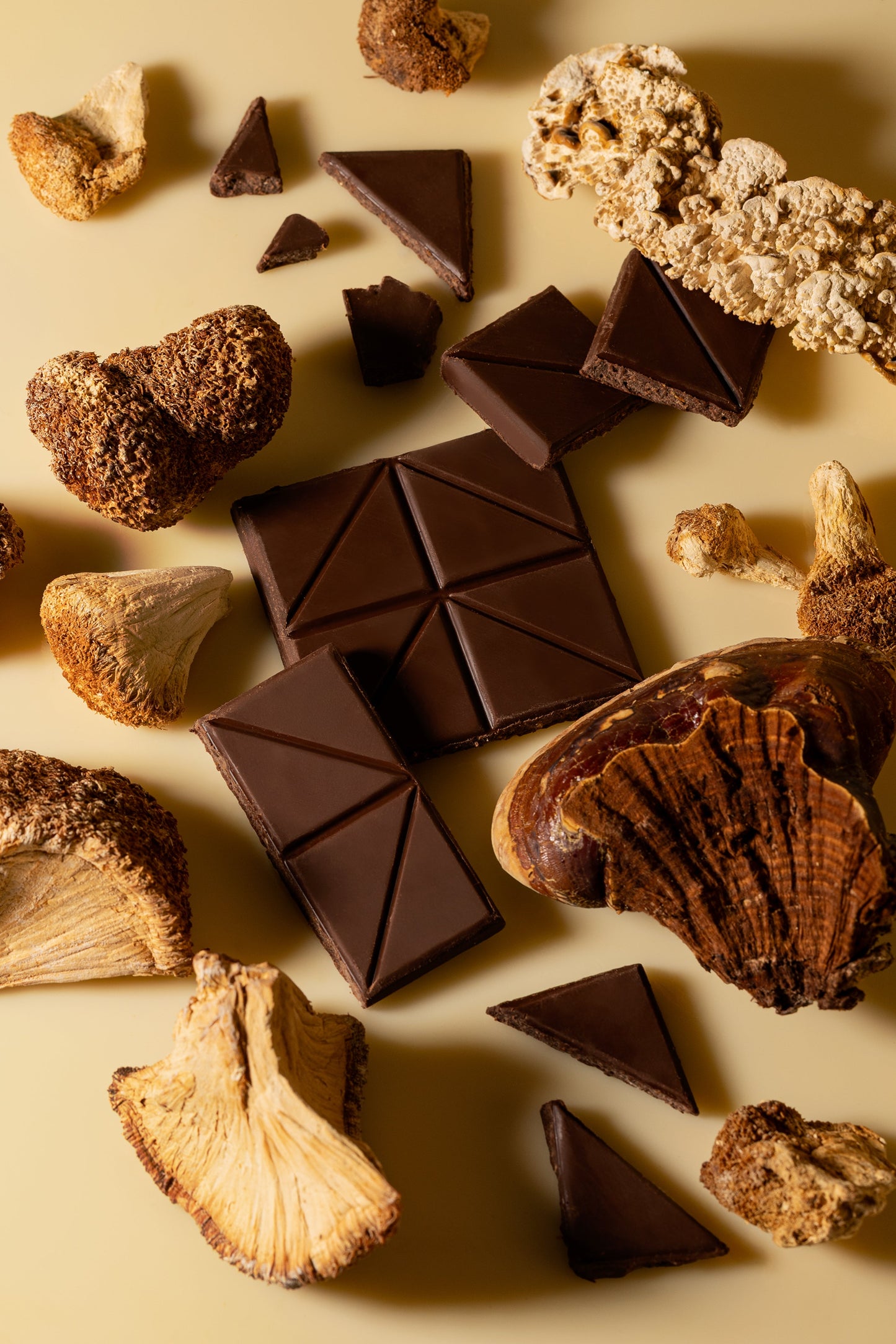 Rich Dark Chocolate + Golden5 Mushroom Blend - Functional Chocolate Bar